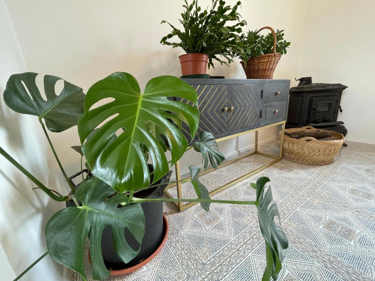 Cilka'S House, Authentic Homestay Near Lipica Сежана Екстериор снимка