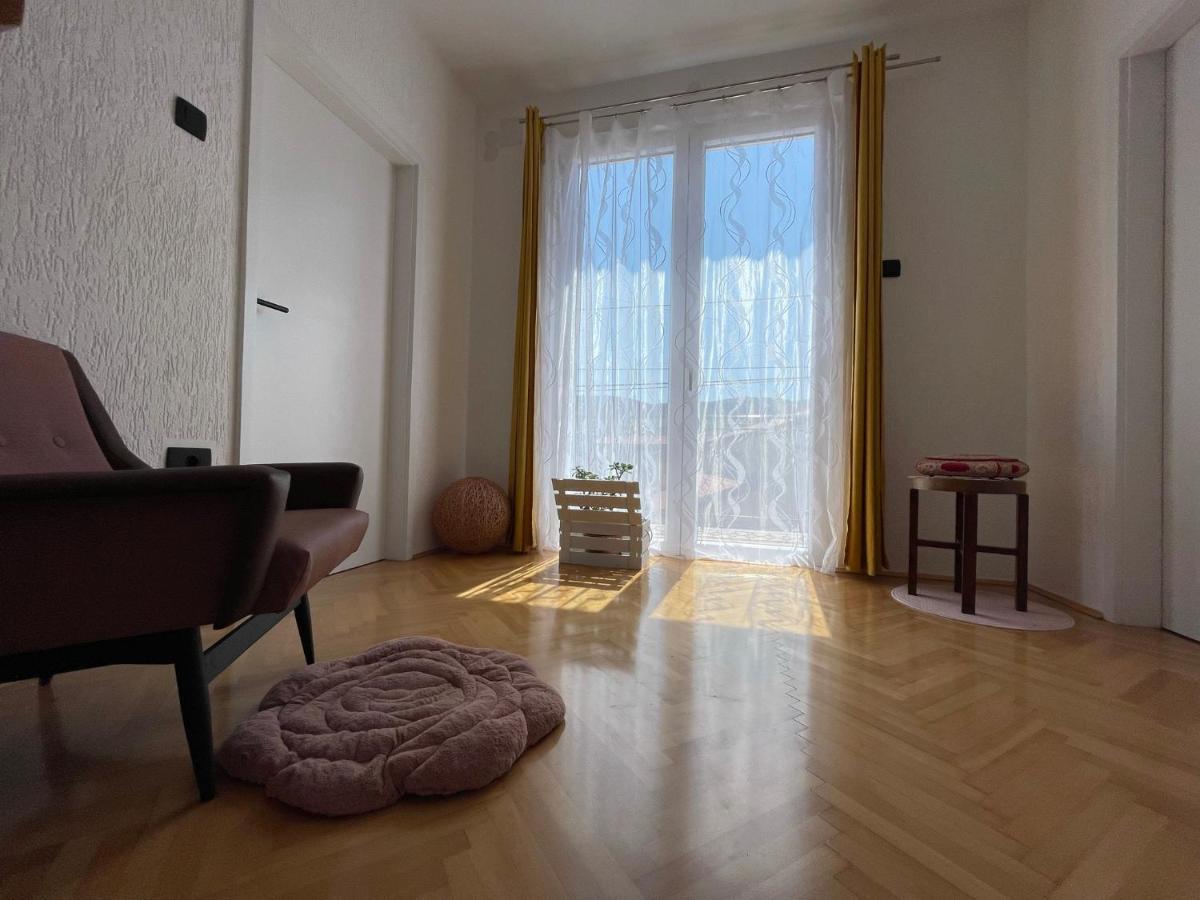 Cilka'S House, Authentic Homestay Near Lipica Сежана Екстериор снимка