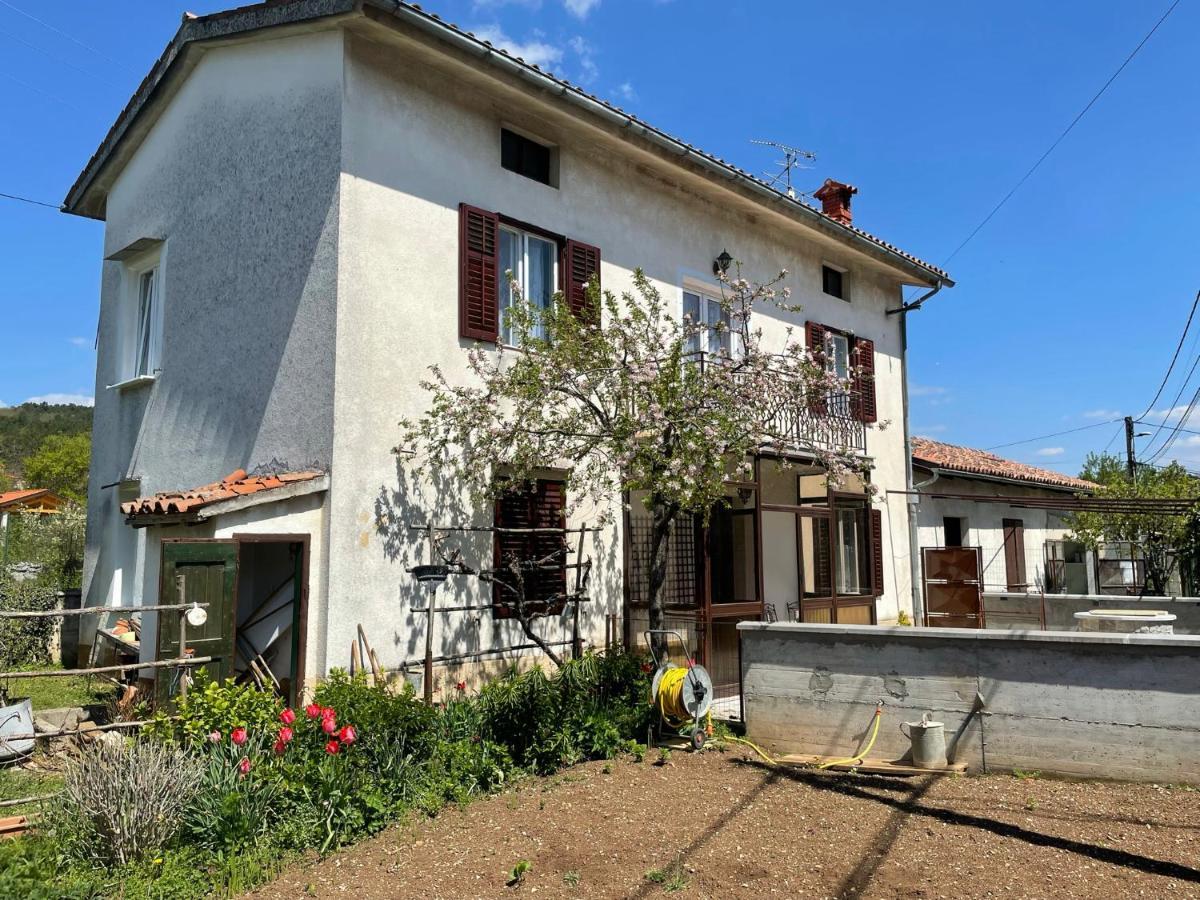 Cilka'S House, Authentic Homestay Near Lipica Сежана Екстериор снимка